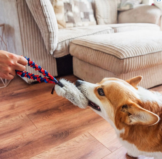 Tug Bungee avec couineur – Disponible en peau de lapin ou fausse fourrure
