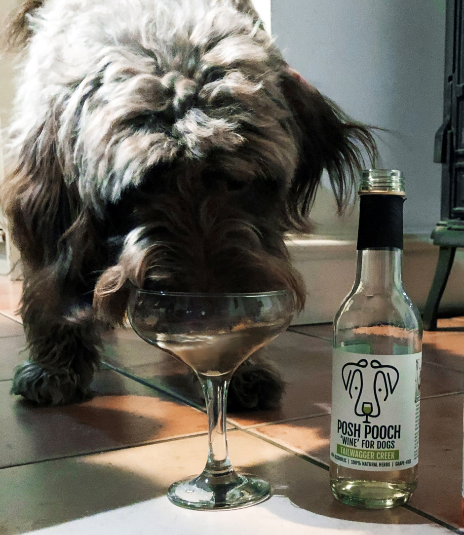 Posh Pooch vin blanc 250 ml – Trinquez avec votre compagnon à quatre pattes