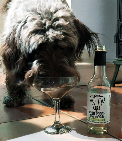 Posh Pooch vin blanc 250 ml – Trinquez avec votre compagnon à quatre pattes