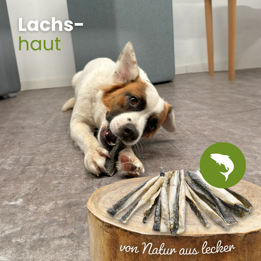 Peau de saumon séchée pour chiens