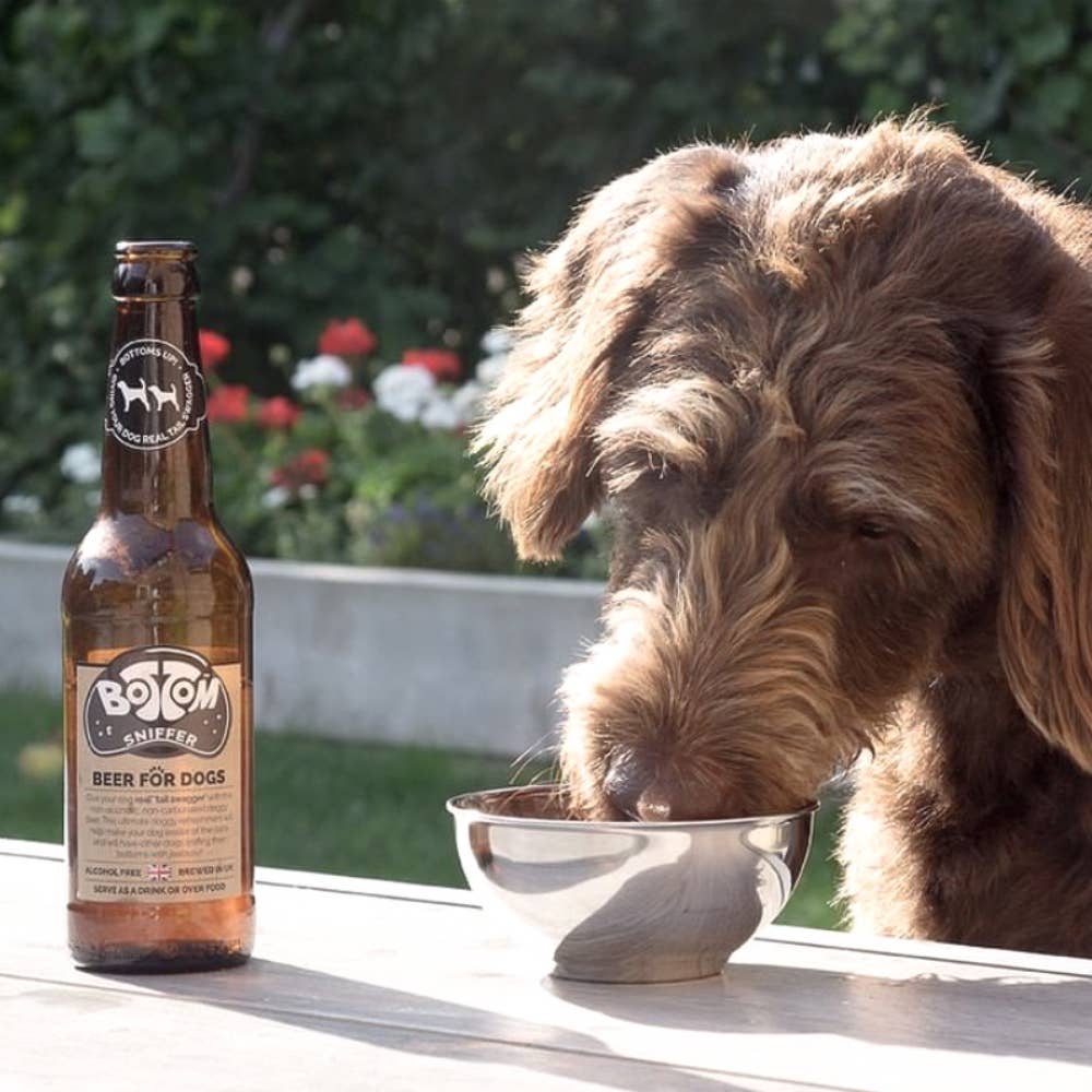 Bière pour Chien - 330 ml