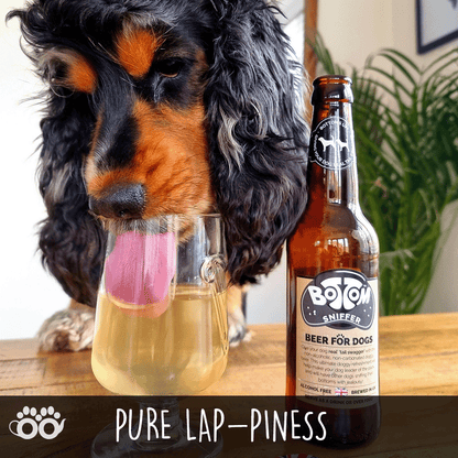 Bière pour Chien - 330 ml