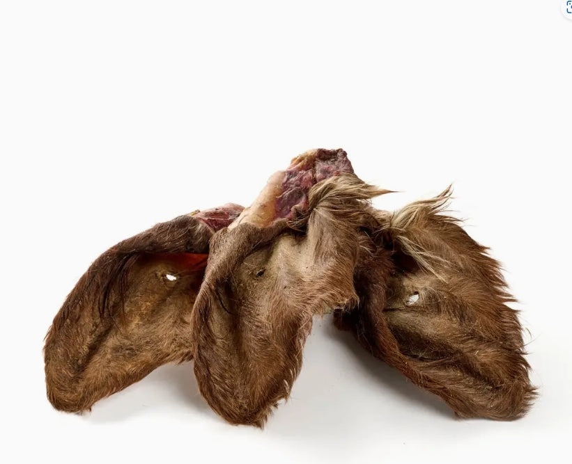 Oreilles de bœuf  (Avec ou sans poils)