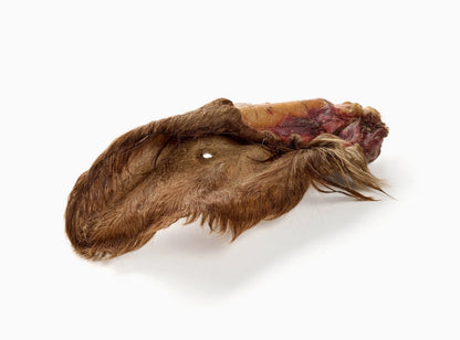 Oreilles de bœuf  (Avec ou sans poils)