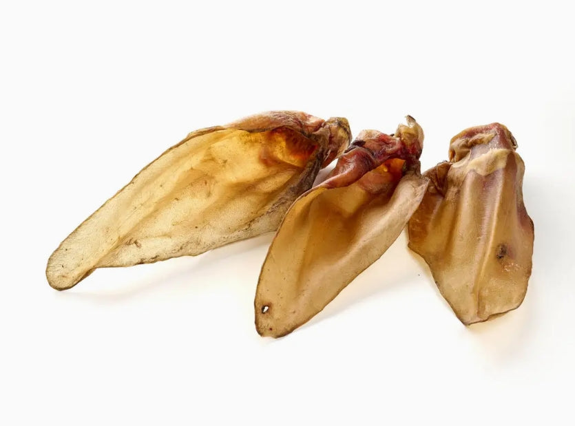 Oreilles de bœuf  (Avec ou sans poils)