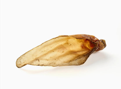 Oreilles de bœuf  (Avec ou sans poils)