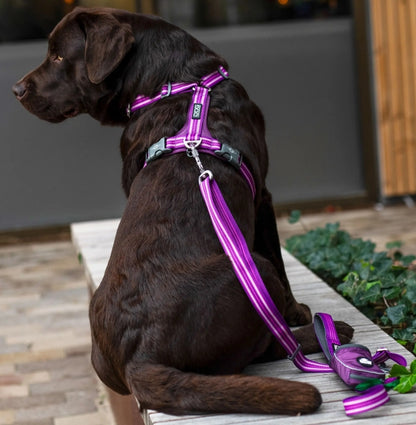 Comfort Walk Air™ Harnais
