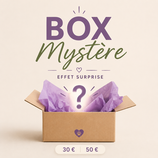 Box Mystère Friandises Naturelles