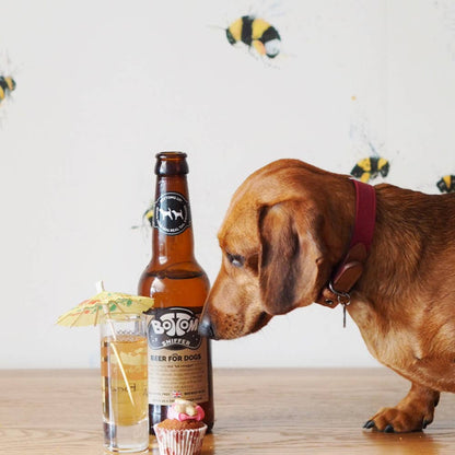 Bière pour Chien - 330 ml