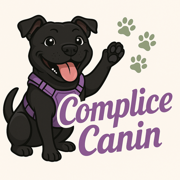 complice canin