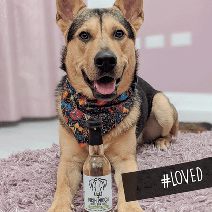 Posh Pooch vin blanc 250 ml – Trinquez avec votre compagnon à quatre pattes